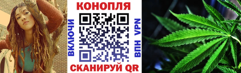 Бошки Шишки Чадан