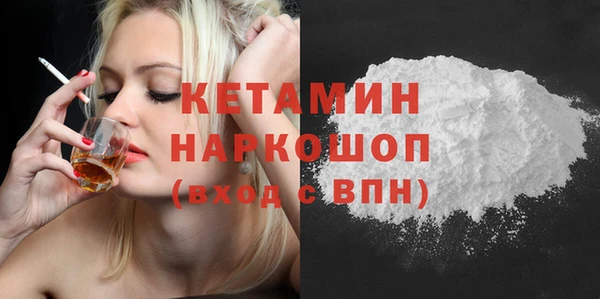 прущие грибы Елабуга