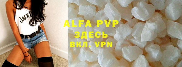 прущие грибы Елабуга