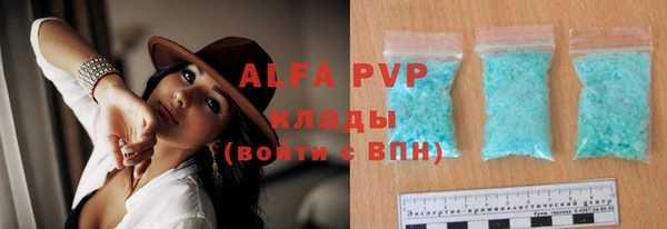 прущие грибы Елабуга