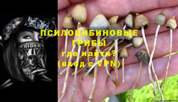 марихуана Дмитриев